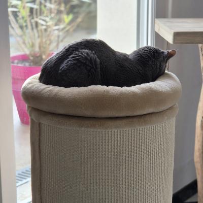 SOMMEIL PROFOND