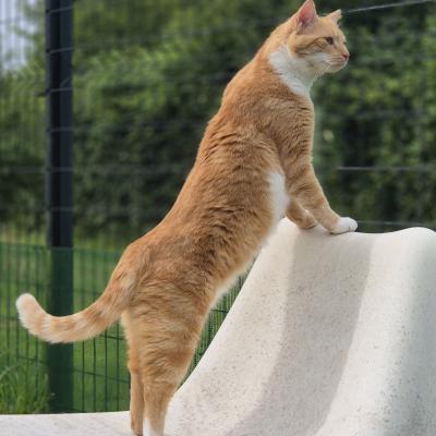LES SORTIES AU PARC