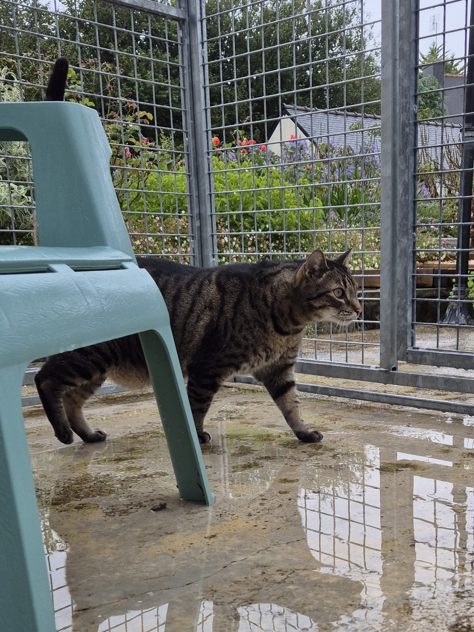 JOUR DE PLUIE